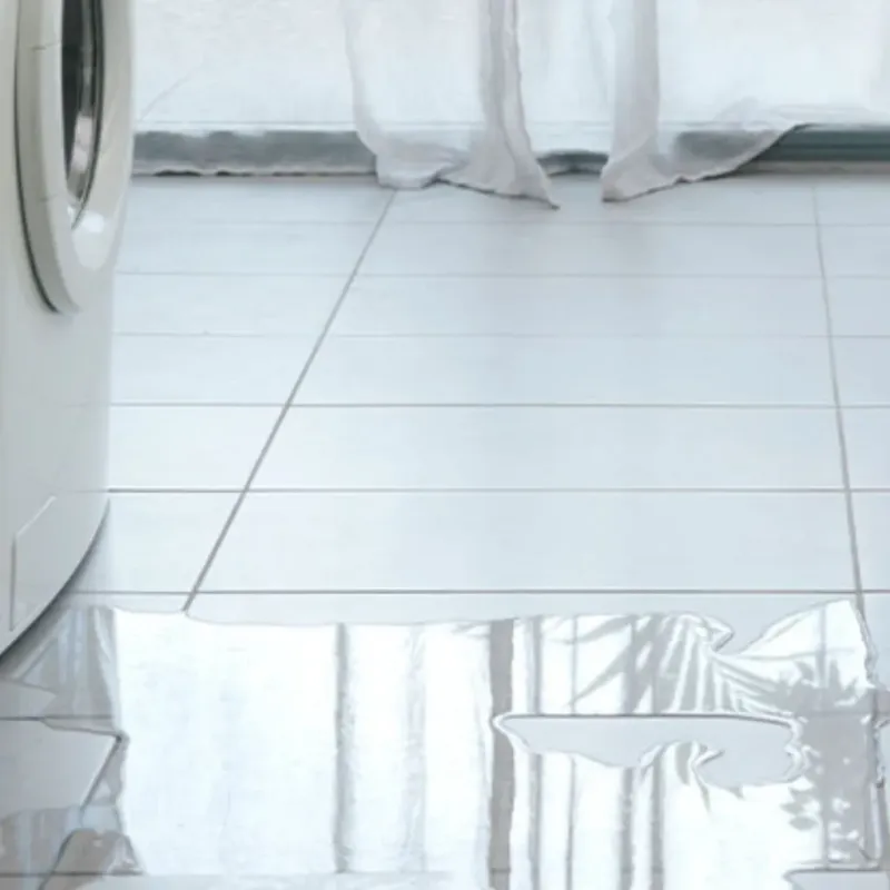 Appliance Leak Cleanup in Orange County, IN
