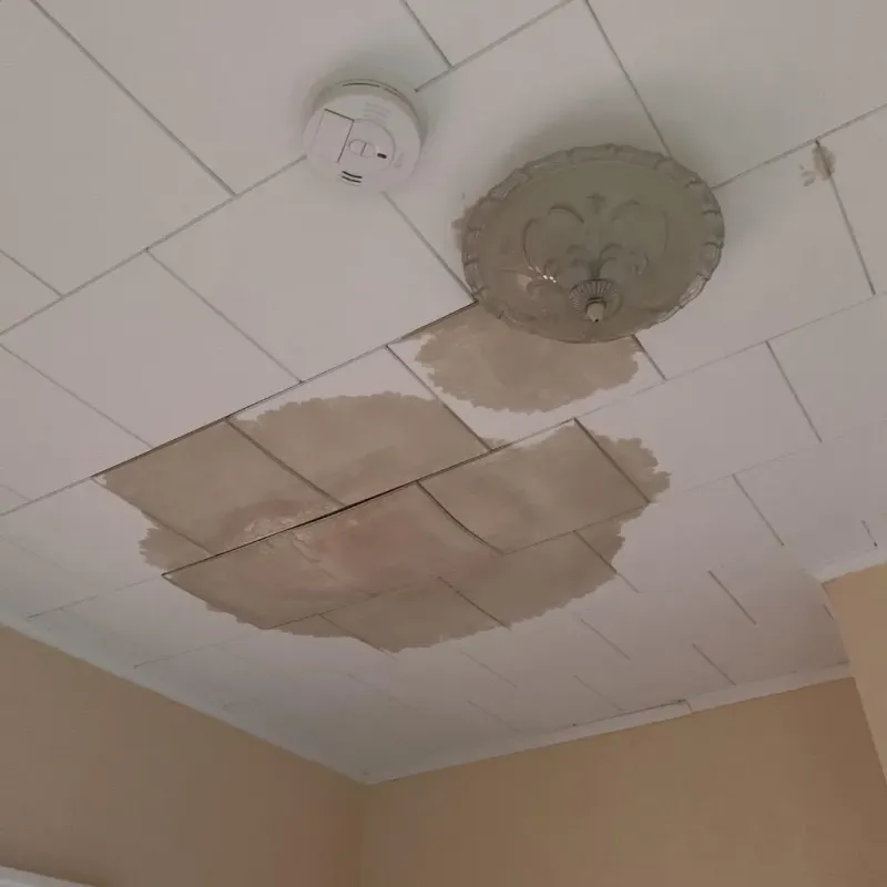 Ceiling Water Damage Repair in Orange County, IN