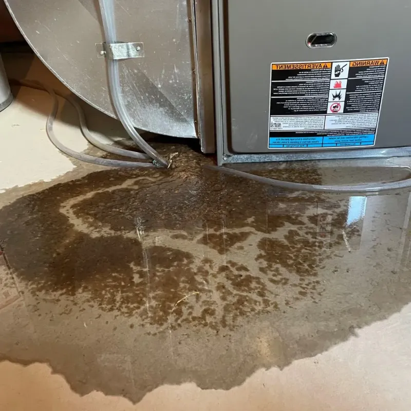 Pipe Burst and Leak Restoration in Orange County, IN