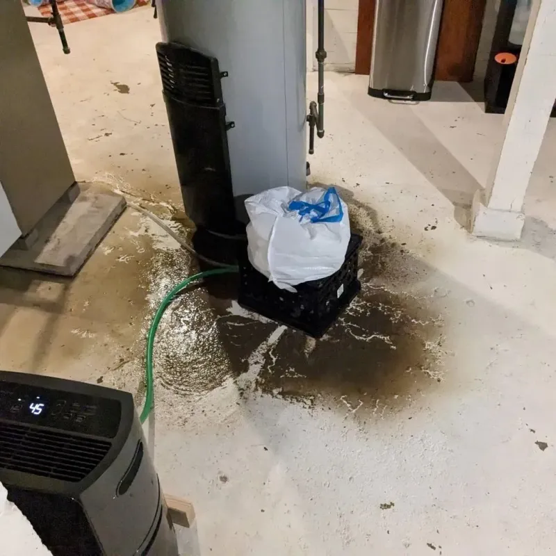 Sewage Backup Cleanup Service in Orange County, IN